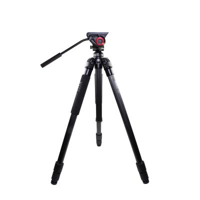 Zubehör KITE ARDEA CF STATIEV + MANFROTTO KOPF MVH500AH